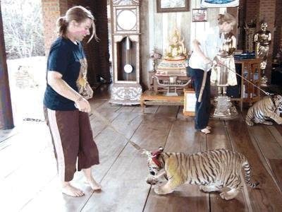 Templo del Tigre Tailandia 02
